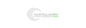 9-e1739113911954.png
